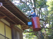 一般住宅　木伐採工事　お手製ドラム缶ゴンドラ使用
